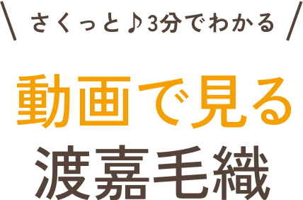 さくっと♪3分でわかる 動画で見る渡嘉毛織
